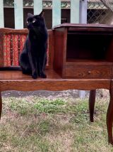 Meuble téléphone vintage rénové 