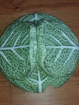 Soupière chou en barbotine Bordallo Pinheiro