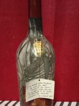 rare bouteille en pâte de verre cristallisé 