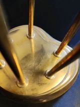 ensemble de fleurs d'arum