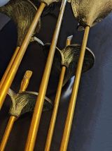 ensemble de fleurs d'arum