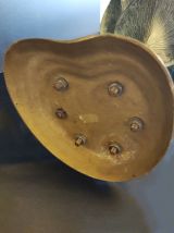 ensemble de fleurs d'arum