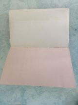 Roses rouges pour Estella Lia Miranda