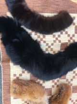 Tour de cou en peau d animaux