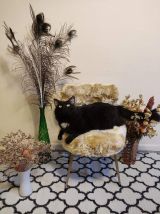 chaise moumoute beige doré