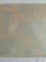 plateau de  service  rectangulaire , vintage