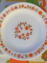 6 assiettes à dessert + 6 tasses à café  (Scania Arcopal)