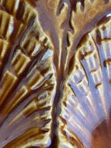 Set de 6 assiettes à coquillages 