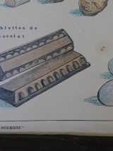  Affiche pédagogique Deyrolle - Le cacao 