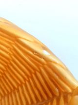 Corbeille à fruits en barbotine vannerie, Vallauris 1960