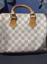 Louis Vuitton Speedy azur 25