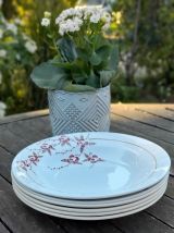 6 Assiettes creuses , Badonviller et St Amand, 1930