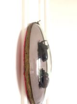 Cadre couple de scarabées naturalisés 