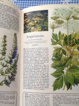 livre vintage secrets &amp; vertus des plantes