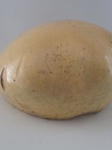 Forme de chapeau en bois pressé avec surface et fibre textil