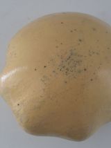 Forme de chapeau en bois pressé avec surface et fibre textil