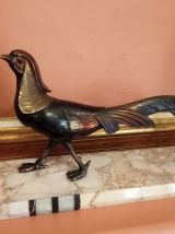 Grand et Elegant  faisan