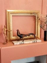 Grand et Elegant  faisan