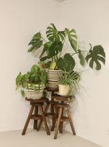 Lot de 3 tabourets à vis de menuisier. Réf Bambino.