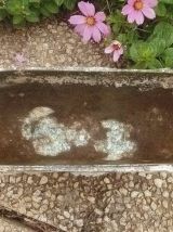 jardinière  en fonte  d'alu , vintage