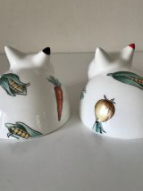 Salière et Poivrière Villeroy et Boch