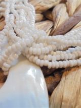 Collier coquillage