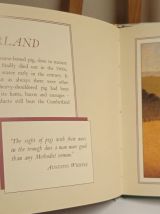 Livre d'époque. langue Anglaise / Vintage book. Language Eng