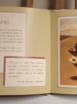 Livre d'époque. langue Anglaise / Vintage book. Language Eng