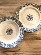 Assiette  terre de fer