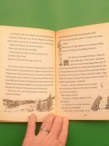 L'Evasion de Kamo- Daniel Pennac- Gallimard Jeunesse- Folio 