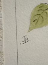 Empreinte d'une paire de Chaffinch