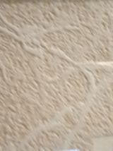 Empreinte d'une paire de Chaffinch