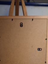 Chouette Hulotte / Tawny Owl