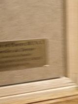 Chouette Hulotte / Tawny Owl