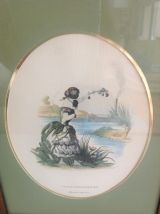 Deux illustrations polychromes sous cadre par A. H Payne