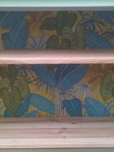 Armoire vitrine parisienne