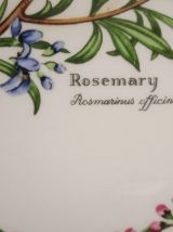 Royal Worcester HERBS 