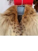 col en fourrure de lynx canadien non chinchilla    renard