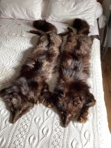 Étole fourrure renard