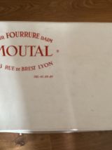 Étole fourrure renard