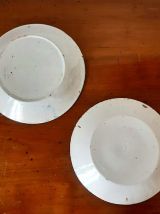 Paire d'assiettes bavardes en faïence 19eme s