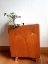 Coffre à jouet en bois vintage 1950 