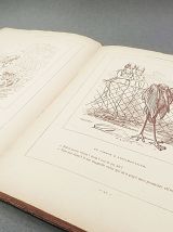 LIVRE LES PARISIENNES PAR GREVIN