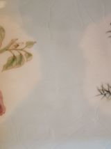 2 plats creux rectangulaires Bavaria 