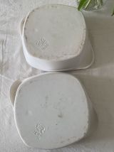 Plat Oies blanches et grises