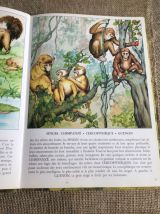Grand livre tous les animaux de 1959
