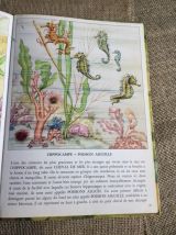 Grand livre tous les animaux de 1959
