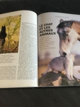 Les chats comportement et caractères