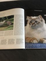 Les chats comportement et caractères