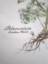 Assiette Porcelaine Winterling. Mobil. 24.5 Cm. (2).